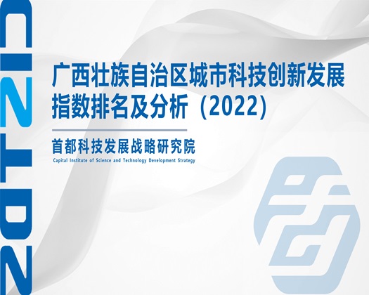 大黑鸡巴操逼免费视频【成果发布】广西壮族自治区城市科技创新发展指数排名及分析（2022）